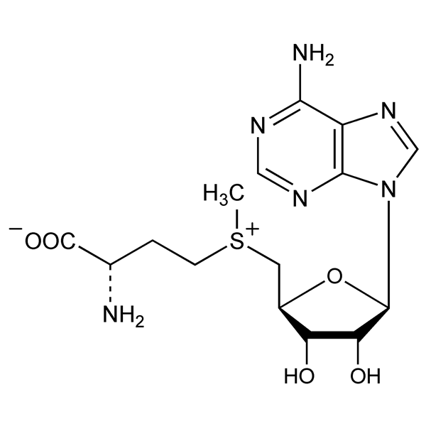 s-adenosylmethionine-monograph-image